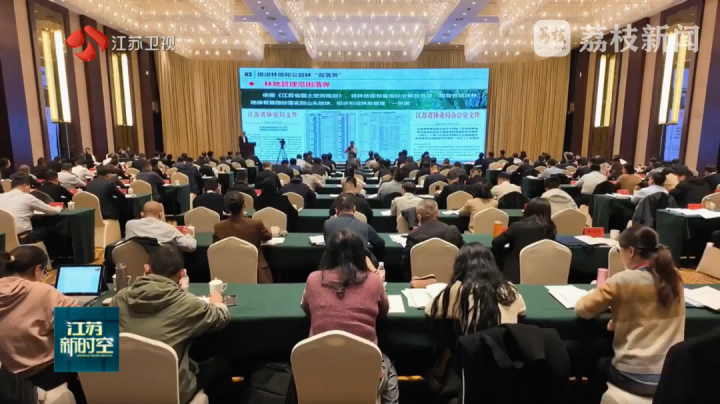 苍穹数码赋能显成效，江苏率先全面推进用地用林合并审批获全国推广